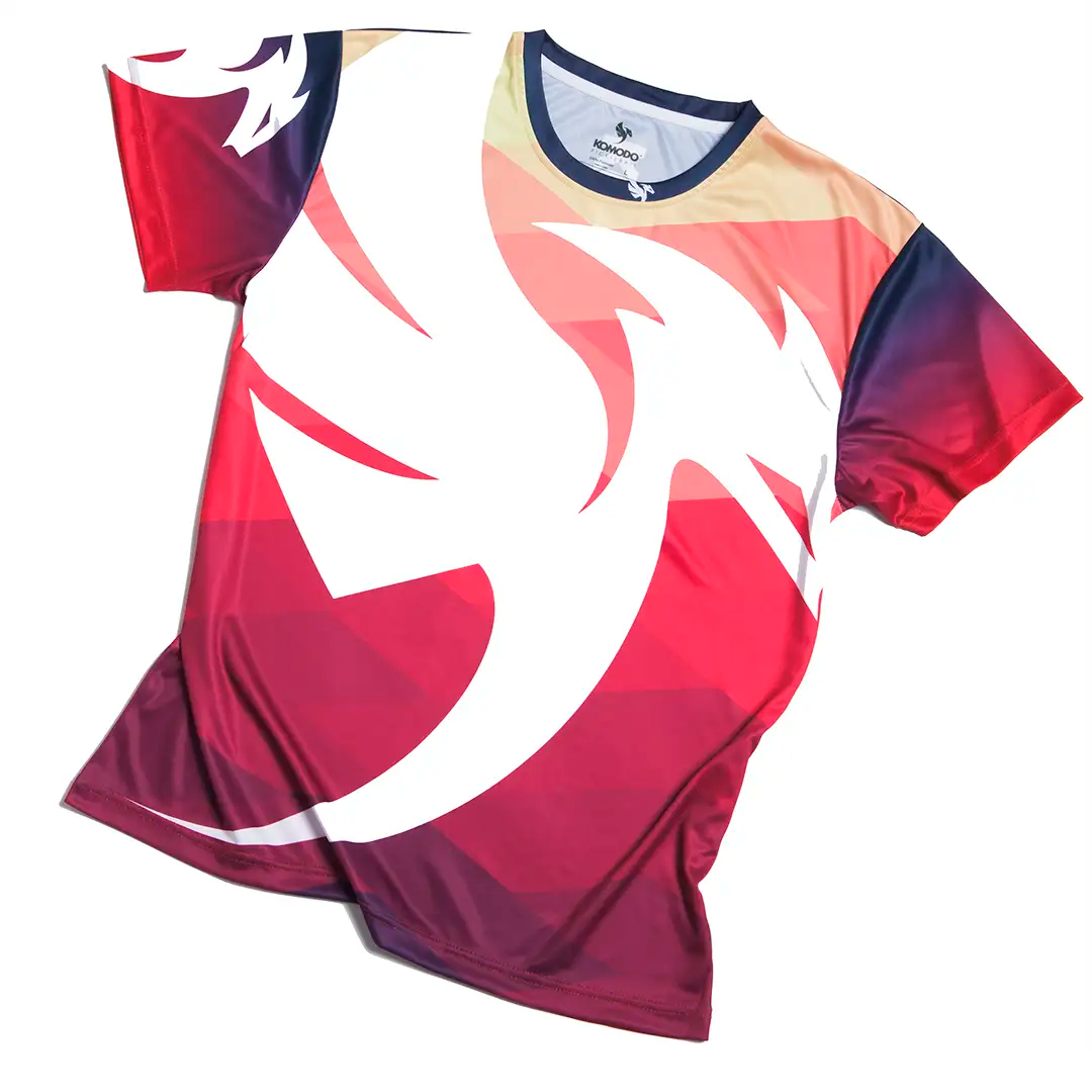 Evolve Tour Shirt